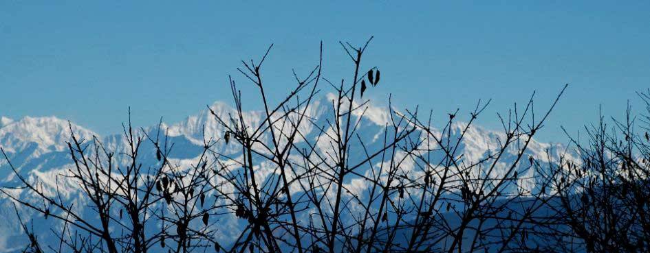 Calippic Hotels Kanatal - CTR - Resort at Kanatal